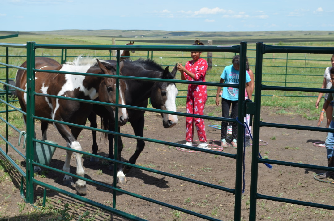 Horse Camp participant with a horse