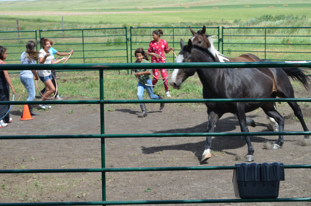Girls working with horses in a corral